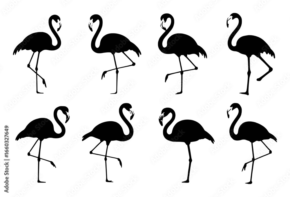 Obraz premium Collection of Black Flamingo Silhouettes on a White Background