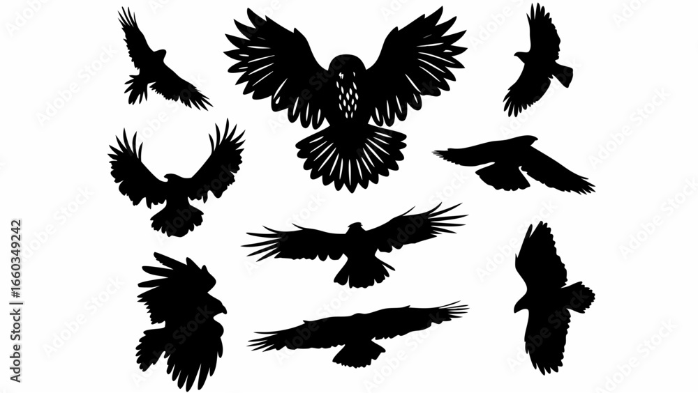 Obraz premium Silhouetted birds of prey in various flying poses against a white background creating a dynamic composition | editable eps vectors