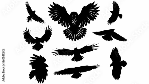 Silhouetted birds of prey in various flying poses against a white background creating a dynamic composition | editable eps vectors