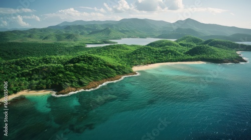 Tropical coastline aerial view