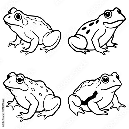 Four outlined frogs with different patterns sitting in various poses on a white background design art