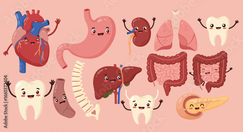 A Whimsical Collection of Human Anatomy Illustrations Featuring Animated Organs and Teeth with Happy Faces and Waving Arms