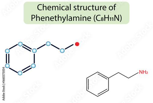 Chemical structure of Phenethylamine (C8H11N). Editable Vector stroke EPS10 Medical infographics.