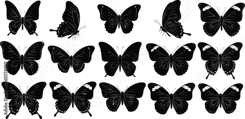 butterfly silhouettes collection, insect wing patterns, black outline design, vector illustration, flying butterflies, nature wildlife art, decorative insect shapes, entomology study reference