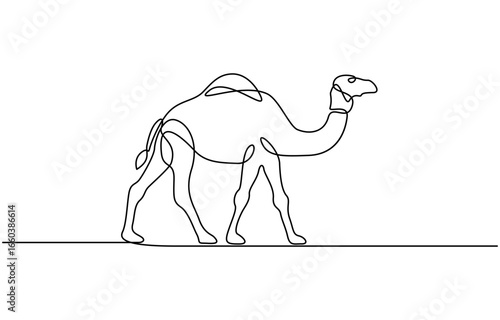 Camel continuous single line drawing, linear style, one line art, minimal design, Animal in black linear sketch isolated on white background. Vector illustration.