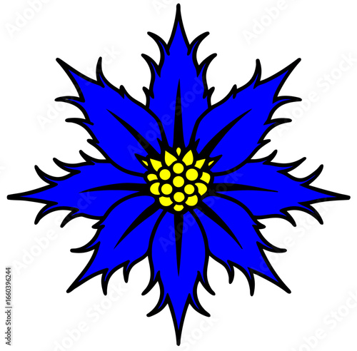 sea flower vector illustrations