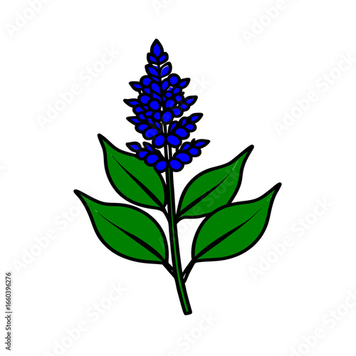 astilbe flower line art vector