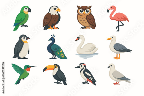 Colorful array of diverse birds featuring parrot, eagle, owl, flamingo, and more