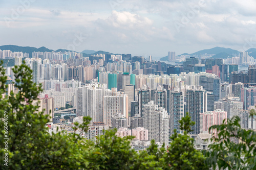 Obraz na plátně View of Hong Kong and Kowloon from Lion Rock Head