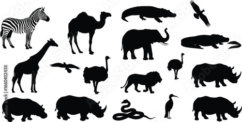 wild animal silhouettes, African safari wildlife, exotic birds and reptiles, vector illustration, nature creatures collection, black outline design, educational animal shapes