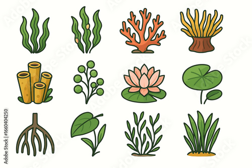 Colorful collection of marine and aquatic plants and seaweeds illustrated