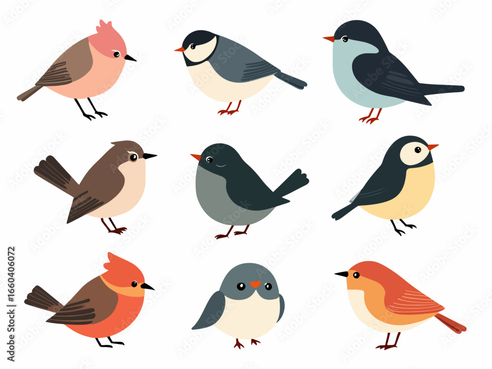 Obraz premium vector set of birds