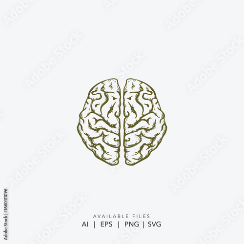 Brain logo for a modern educational or technology brand, Minimalist human brain vector for neuroscience and mental health