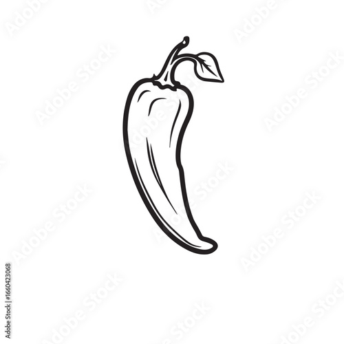 Vector art of a simple black and white line drawing of a chili pepper with a leaf and stem, isolated on a
