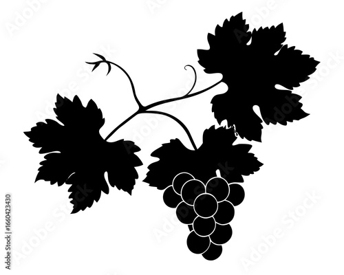 bunch of grapes