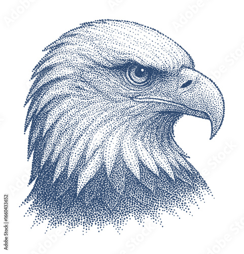 eagle head drawing - pointillism style (artwork 2)