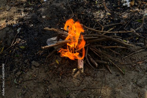 Schilderij op canvas A cozy campfire glows in a rustic outdoor scene, with orange and yellow flames dancing among dry sticks and twigs arranged in a teepee