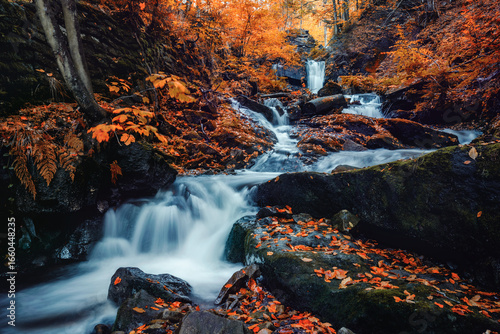 Fototapeta Naklejka Na Ścianę i Meble -  Kaskady Rodła, Wisła