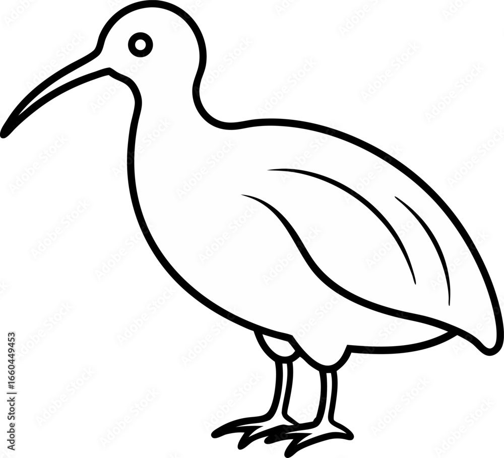 Fototapeta premium Stylized Line Drawing of an Ibis Bird with Curved Beak and Simple Feather Detail Standing Contemplatively