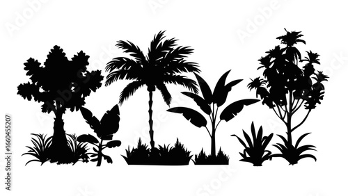 Silhouette of tropical trees palm trees banana trees and plants jungle tree forest illustration vector 100