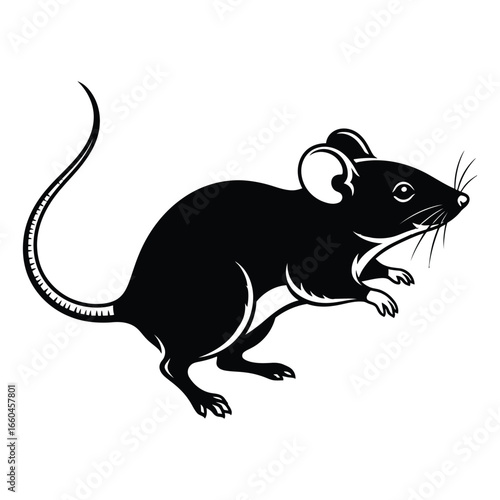 Black silhouette of a mouse with a long tail on a white background rodent animal