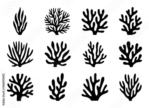 Collection of Black Silhouette Coral Icons on White Background