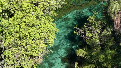 Aerial view of Nascente Azul River - crystal clear river in an area of ​​limestone soil - Bonito, Mato Grosso do Sul, Brazil