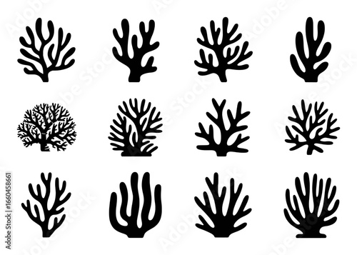 Collection of Black Silhouette Coral Icons on White Background