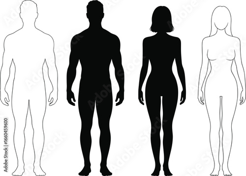 Male and female human body silhouettes, anatomical figures, black and white vector, front view pose, flat vector illustration art 
