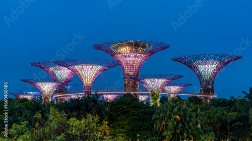 Illuminated super trees at the Gardens of the Bay known as also Marina Bay Gardens in Singapore