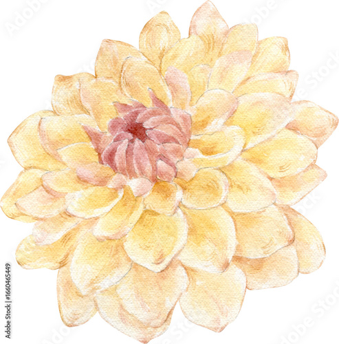 Watercolor Painting of a Yellow Dahlia Flower, Autumn Blossom