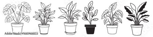 Collection of potted houseplants with diverse leaf shapes, perfect for modern interior design and botanical themes.