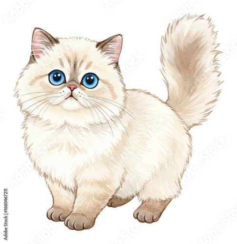 Adorable Fluffy Cream Colored Domestic Cat with Bright Blue Eyes Isolated Hand Drawn Watercolor Painting Illustration