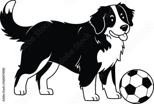 Bernese Mountain Dog with soccer ball, black and white line art, cute dog near window, kids coloring book page vector