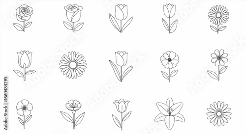 Decorative flower outline vector icons set with detailed floral designs for botanical illustration, spring decoration, and natural elements.