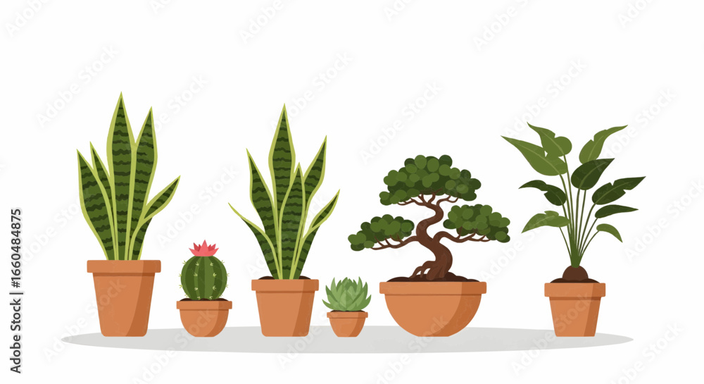 Fototapeta premium Collection of indoor potted plants including cactus, bonsai, and snake plant for home decoration, gardening design, and lifestyle vector illustration.