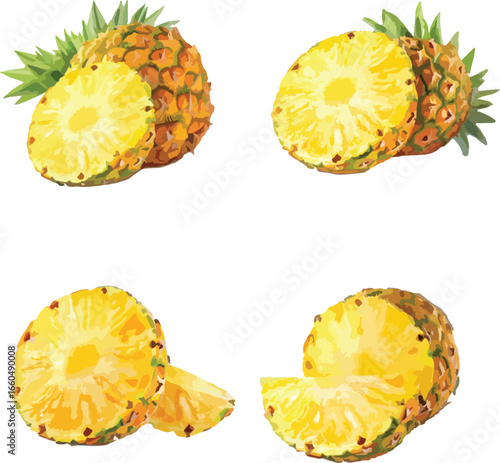 Watercolor illustration of four delicious and refreshing ripe pineapple slices isolated on white