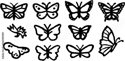 Hand-drawn monarch and butterfly doodle set for creative designs