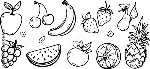 Hand drawn doodle set of various fruits for creative design projects