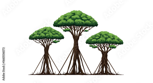 Set of three stylized mangrove trees with lush green foliage
