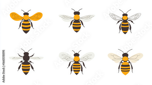 Bee flying icon collection with dotted paths, isolated on white background, vector illustration.