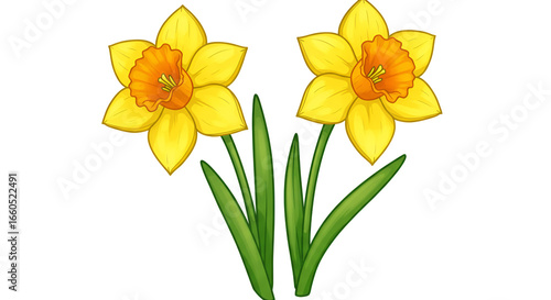 Wallpaper Mural Close Up of Two Yellow Daffodil Flowers in Natural Setting Torontodigital.ca