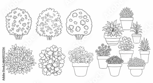 Vector illustration of decorative houseplants and garden trees in pots for home decoration, botanical design, and landscaping.