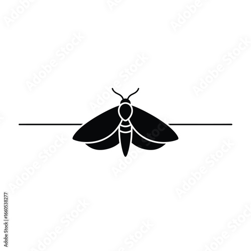 Black moth silhouette on white background insect