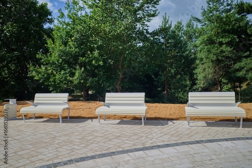 Photography Modern white benches in a park with green trees