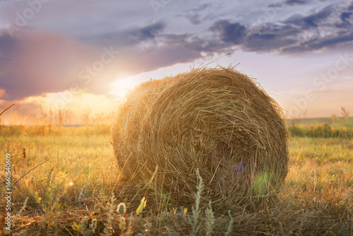 Hay bale in a harvested field at sunset,  haymaking for cattle, Peaceful countryside harvest scene
