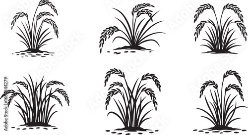 Six black and white silhouette illustrations of rice plants agriculture grain
