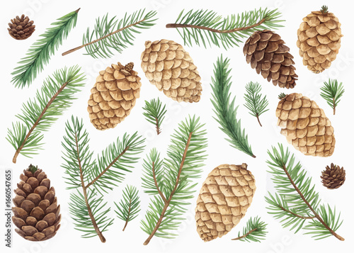 Watercolor illustration of pine cones and fir tree branches scattered on a white background design element