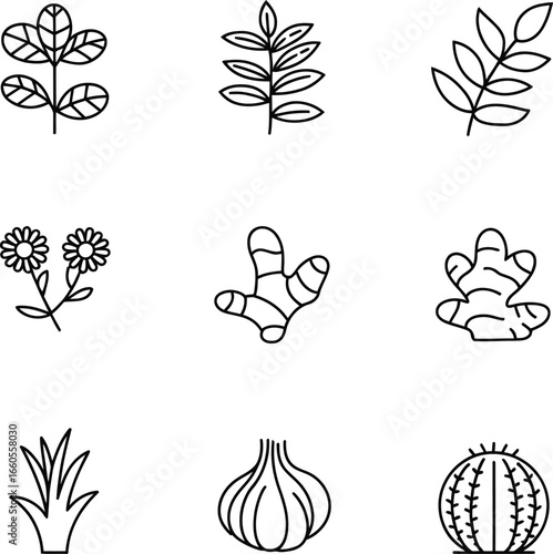 Elegant illustration of a tea plant and neem tree with botanical details