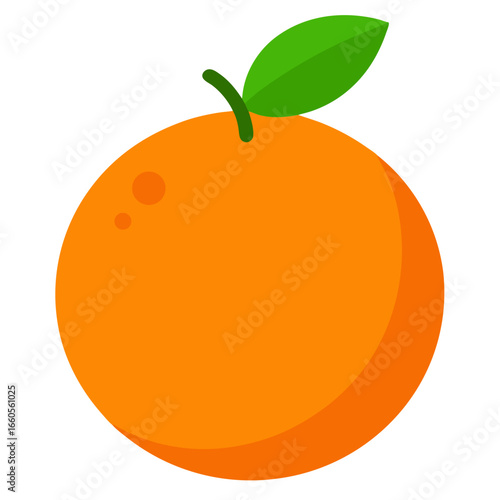 orange fruit vector illustration
